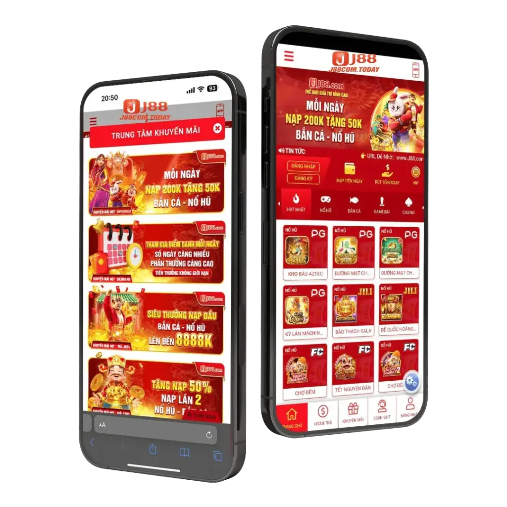 Hướng dẫn toàn diện